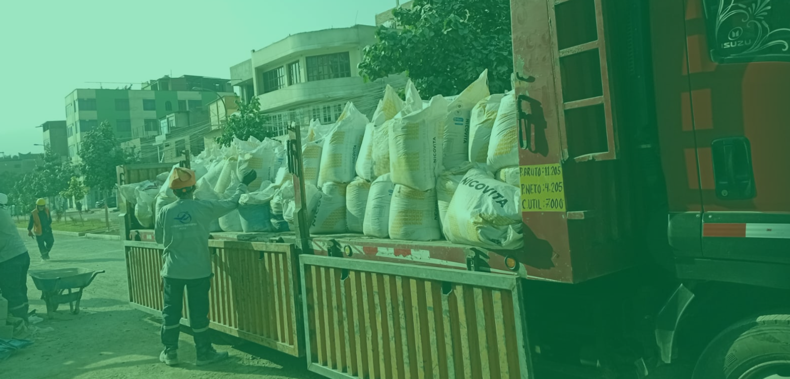 Tierra de Chacra de Calidad Superior para tus Proyectos en Lima